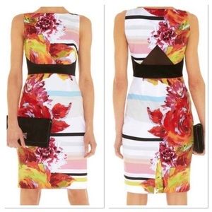 Karen Millen Floral Fitted Sheath Dress DQ164